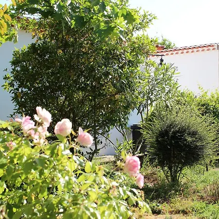 Sao Rafael - Country house *